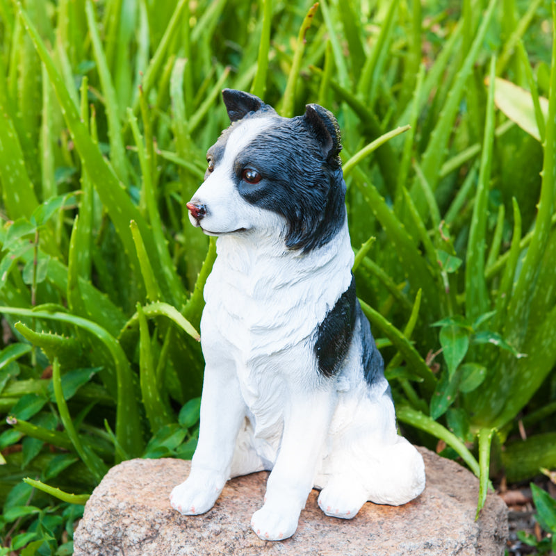 Border Collie - Statuette De Chien, Buste Sur Socle En Pierre, Sculpture, Trophée Pour Une Exposition Canine Par Art Dog 86268139 Border Collie - Statuette De Chien, Buste Sur Socle En Pierre, Sculpture, Trophée Pour Une Exposition Canine Par Art Dog 86268139