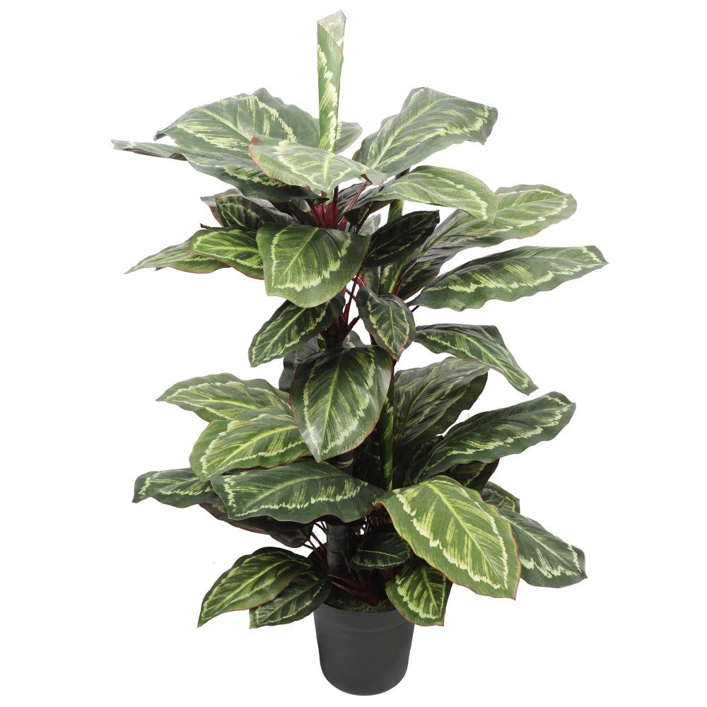 Botanical Artificial Wide Leaf Cordyline Plant 90cms