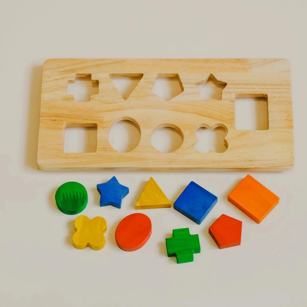 Brain Teaser Wooden Multicolor Shape Tray Insert