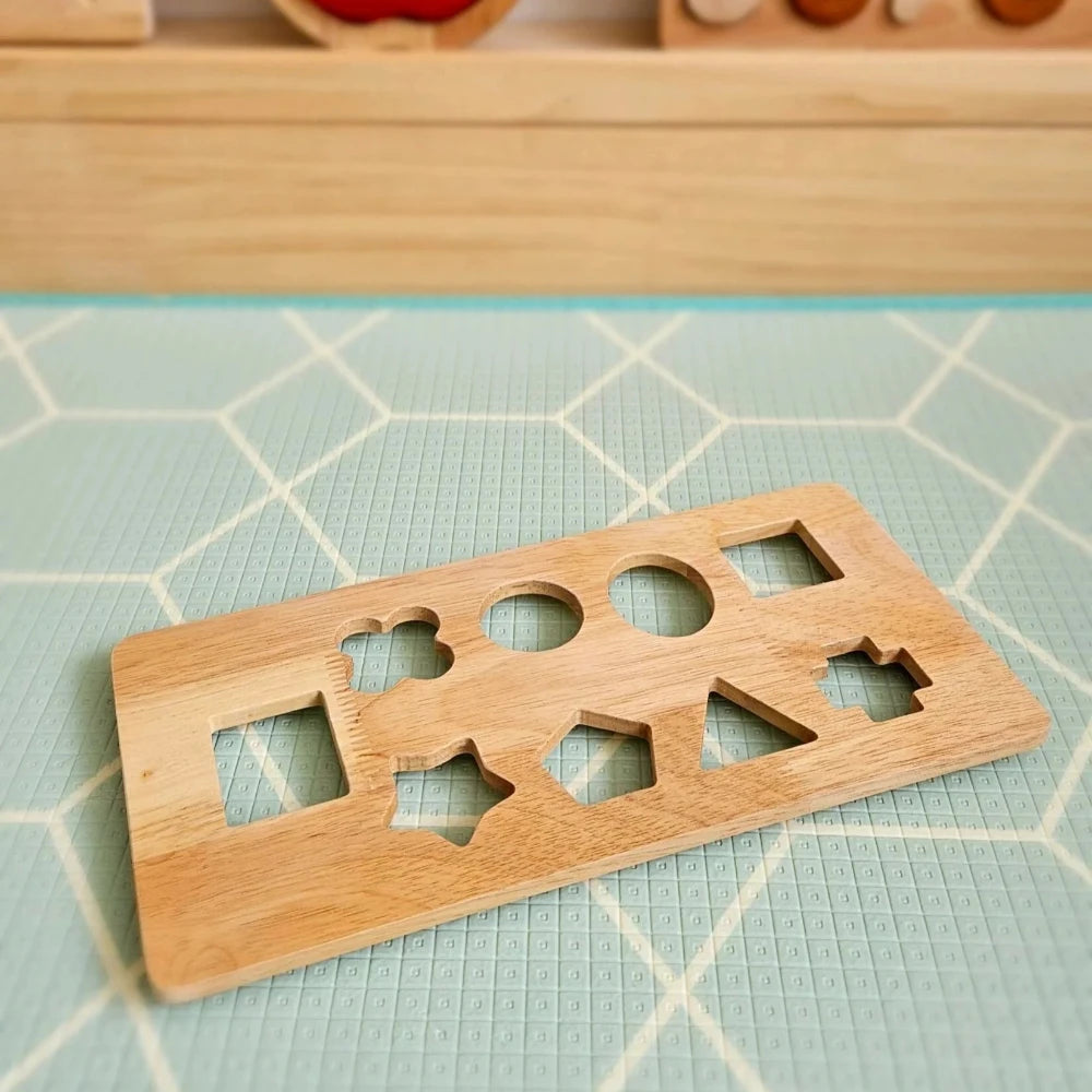 Brain Teaser Wooden Multicolor Shape Tray Insert