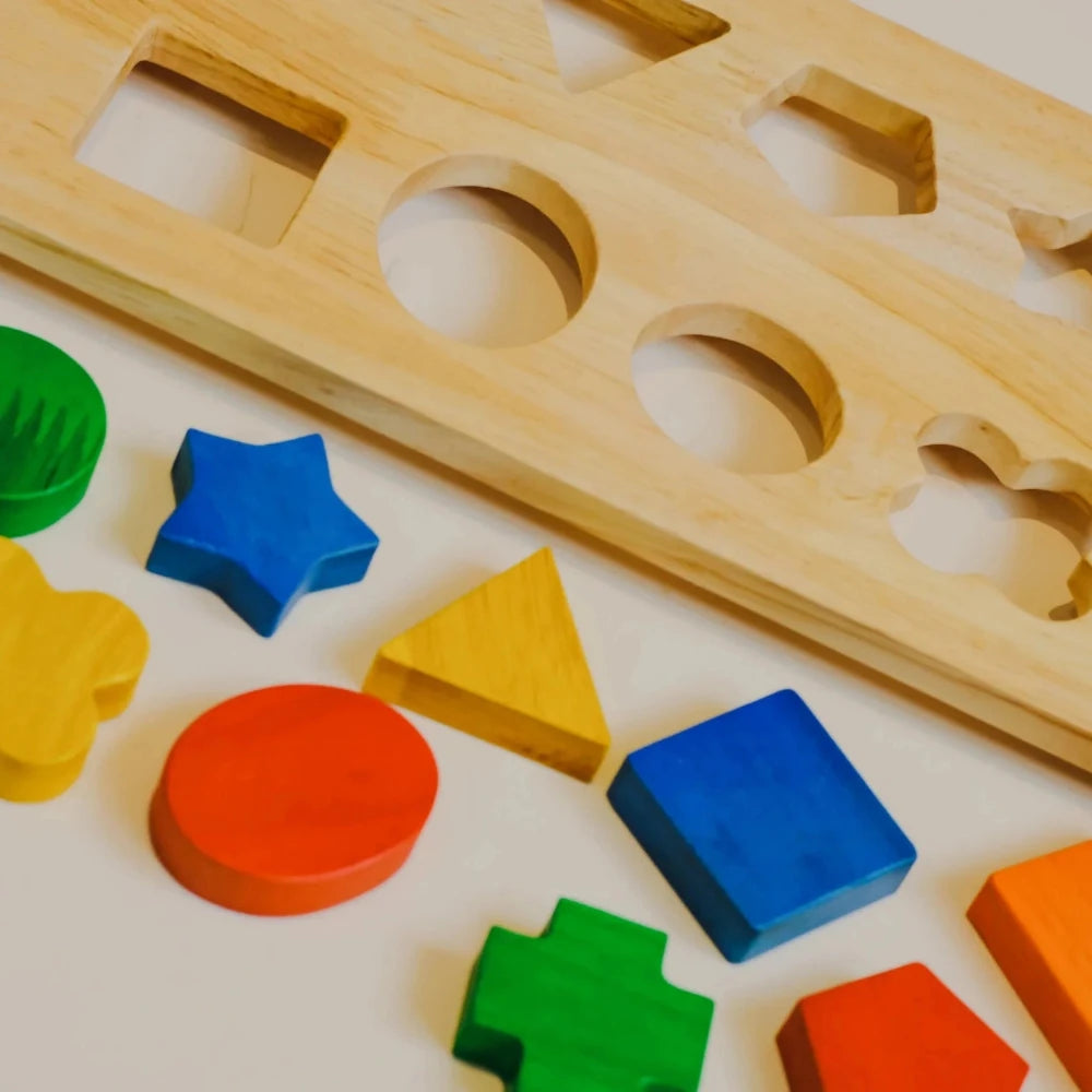Brain Teaser Wooden Multicolor Shape Tray Insert