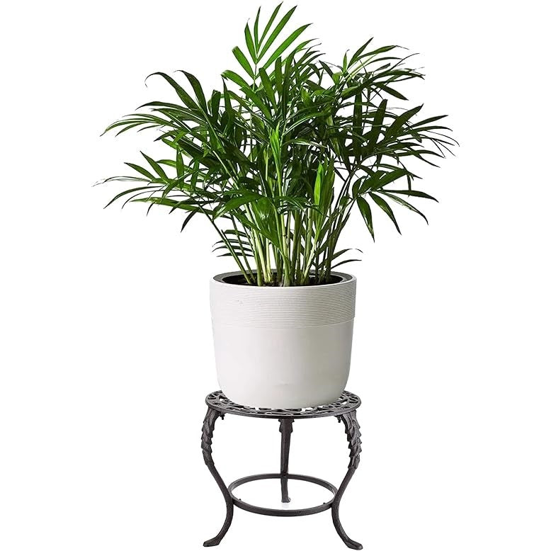 Cast Iron Stool Plant Pot Stand (Available in 2 Sizes)