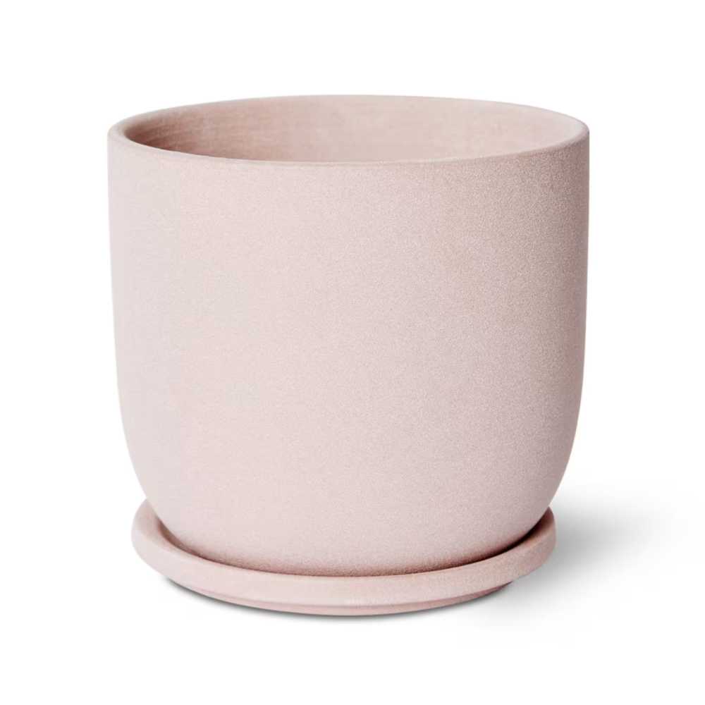 Cermaic Allegra Plant Pot with Saucer - Available in 3 colors - 19 x 19 x 18cms