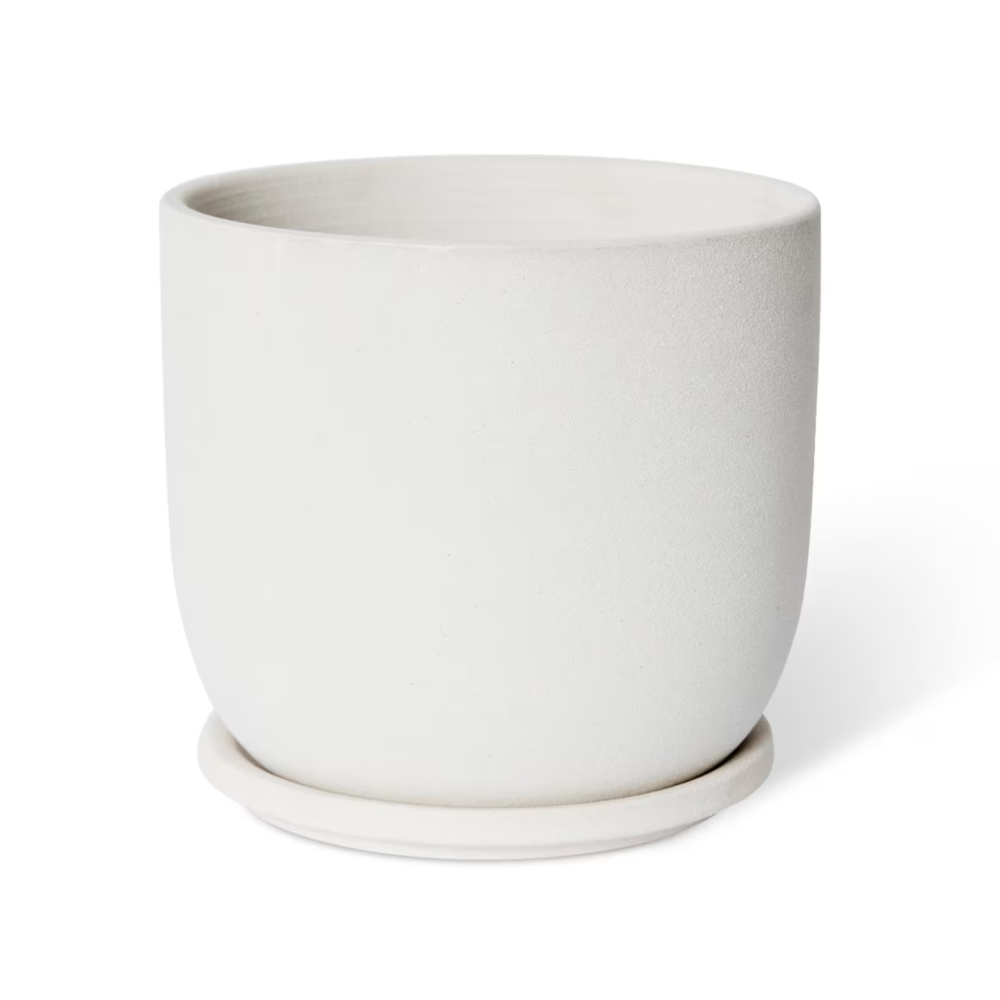 Cermaic Allegra Plant Pot with Saucer - Available in 3 colors - 19 x 19 x 18cms