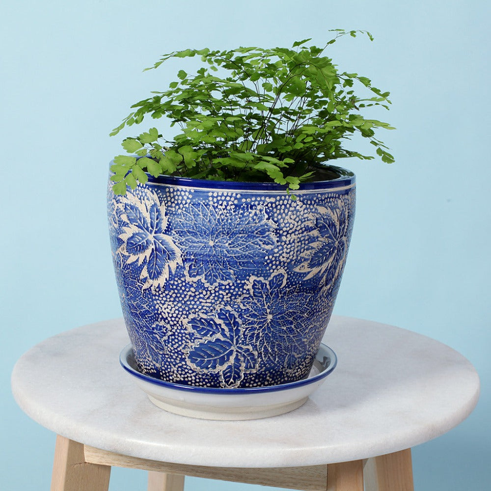 Classic Hellebore Planters - Set of 4