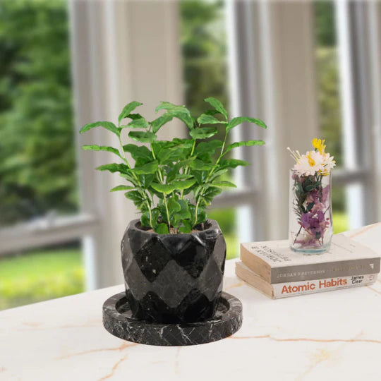 Classic Planter Pineapple Design - 15cm (Available in 2 Colors)