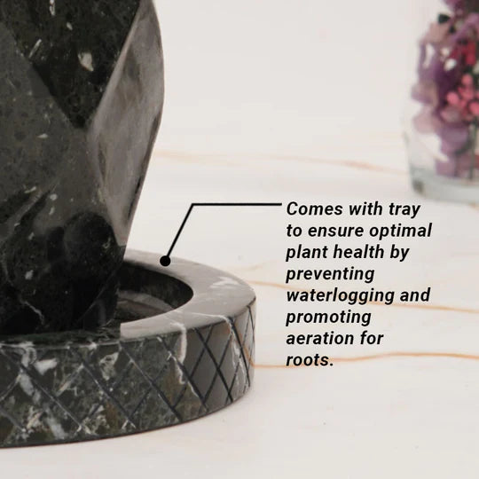 Classic Planter Pineapple Design - 15cm (Available in 2 Colors)