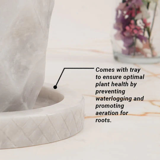 Classic Planter Pineapple Design - 15cm (Available in 2 Colors)