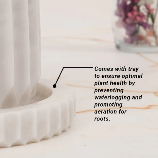 Classic Planter Straight Line Design - 15cm (Available in 2 Colors)