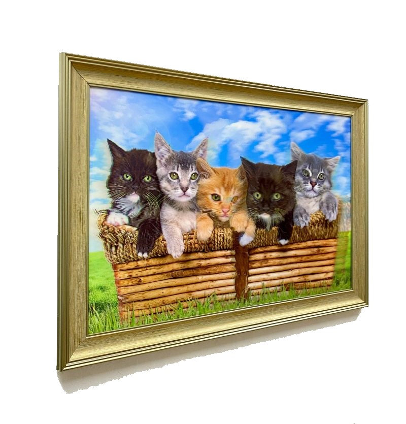 Classy 5D Photo Frames - Cute Kitten