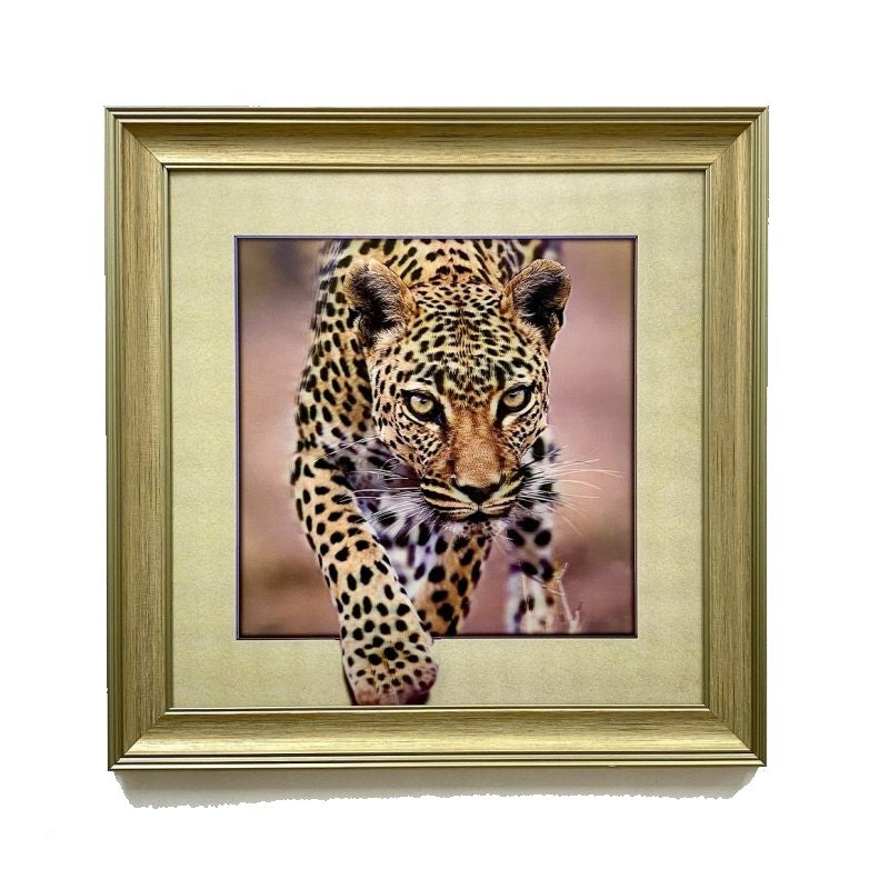Classy 5D Photo Frames - Grand Tiger
