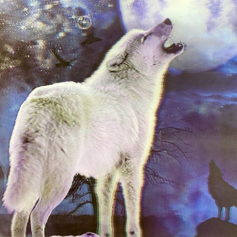 Classy 5D Photo Frames - Moonlight Wolf