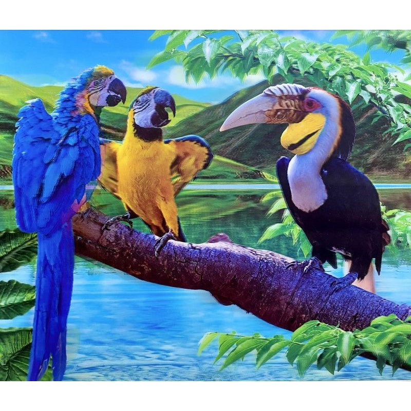Classy 5D Photo Frames - Toucan