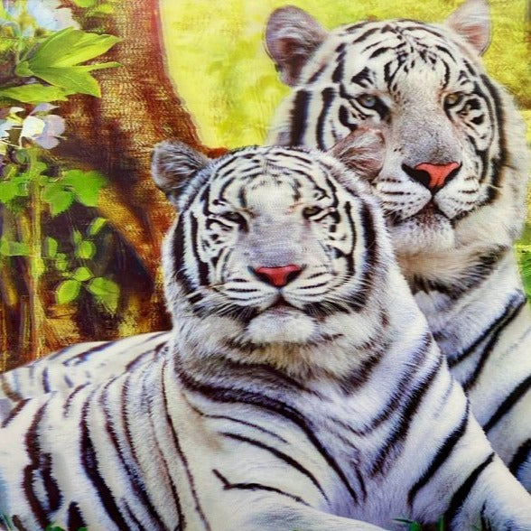 Classy 5D Photo Frames - White Tiger