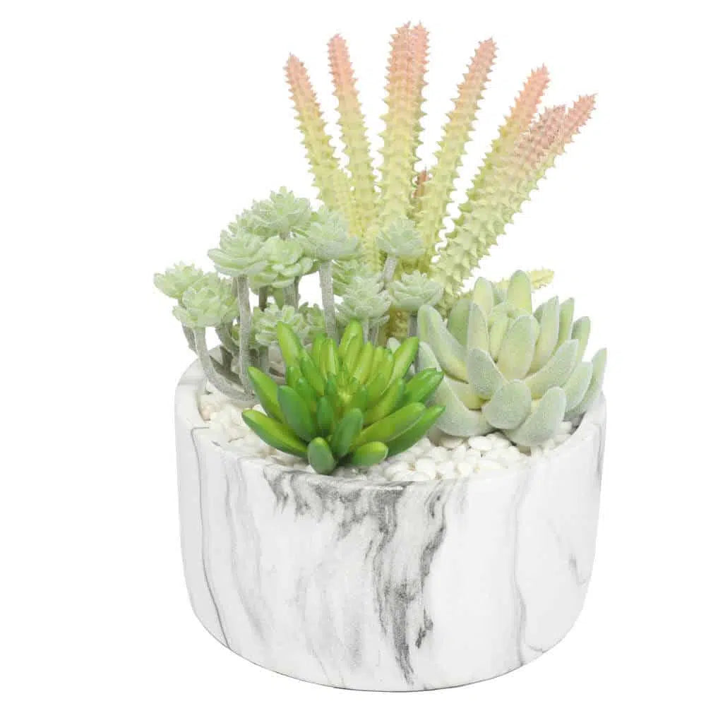 Colorful Artificial Succulent Bowl With Marble Pot 20.5cms