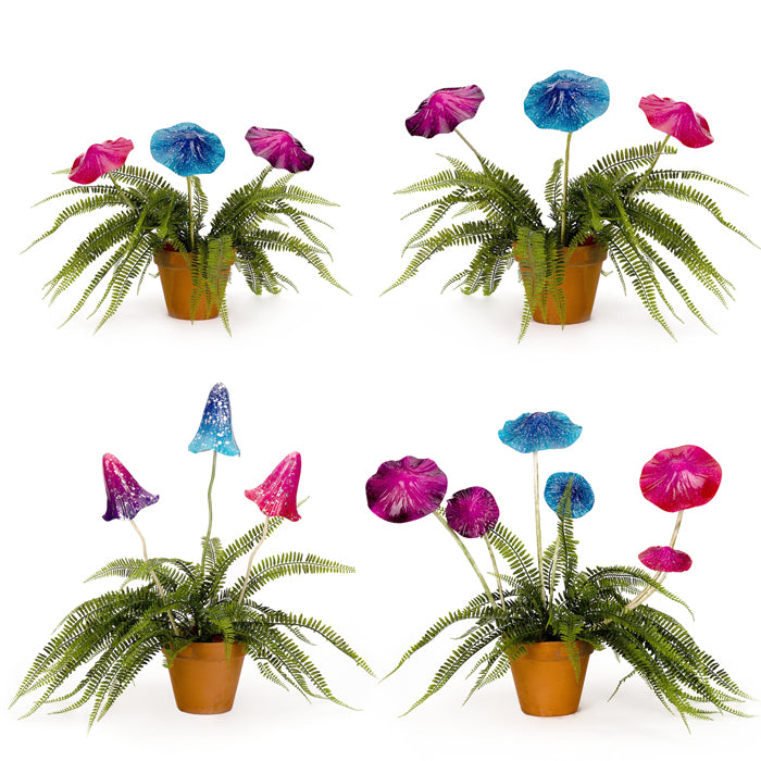 Colorful Mushroom Mixed Fairy Pack