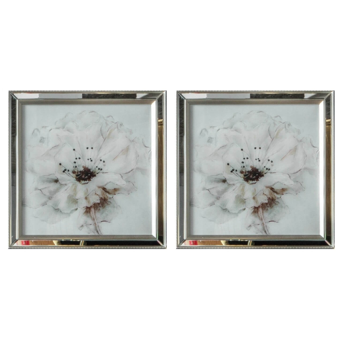 Contemporary Petals Framed Art Set of 2