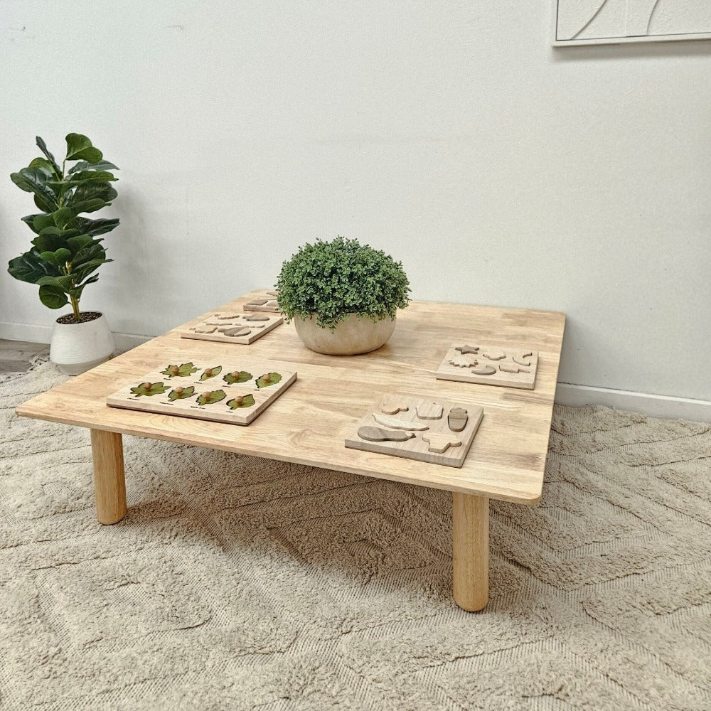 Contemporary Wooden Square Low Table