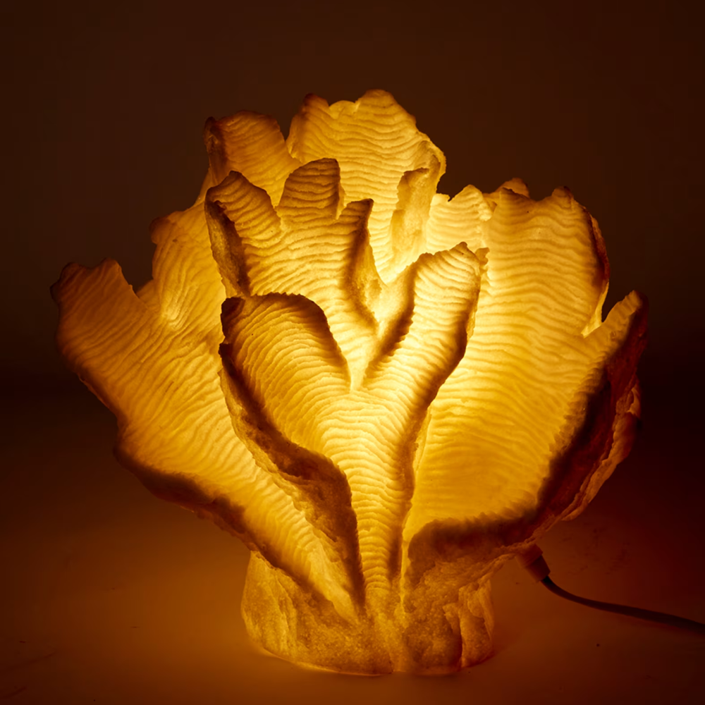 Coral Lamp Leaf Light Decor