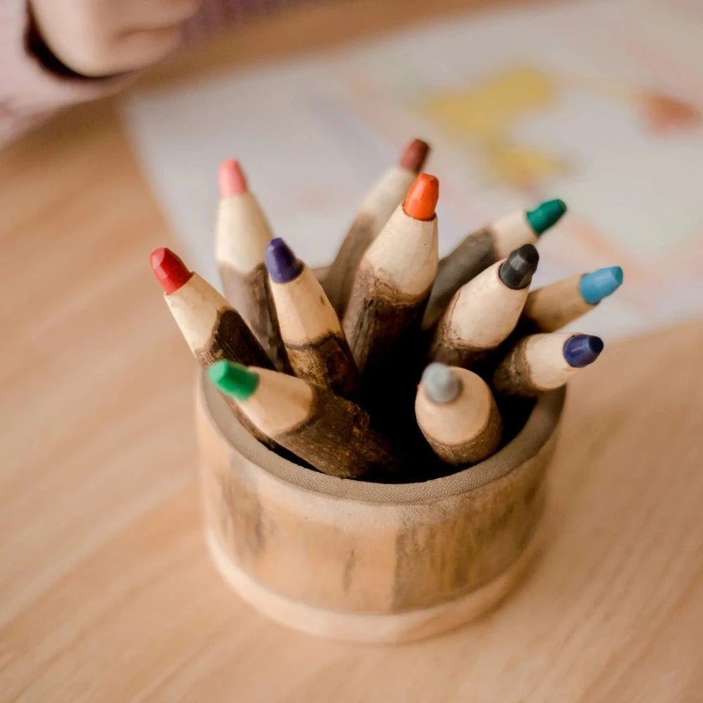 Creative Tree Colored Pencil Set