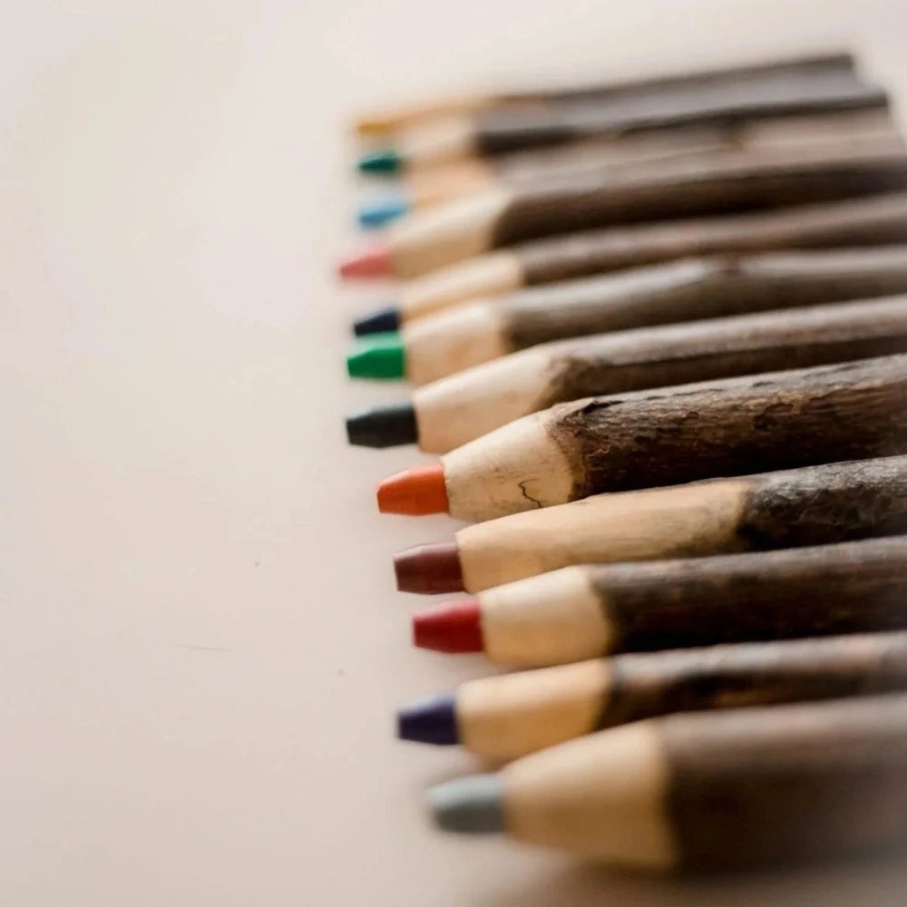 Creative Tree Colored Pencil Set