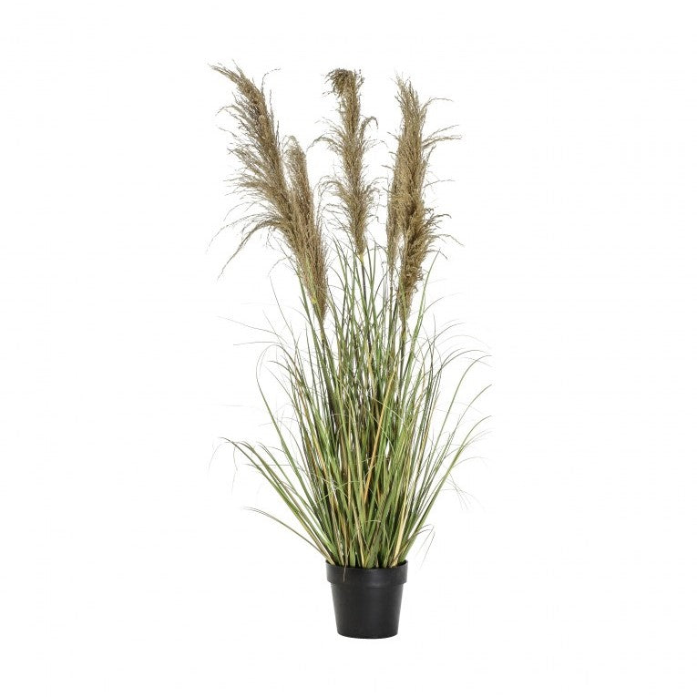 Crowned in Nature Artificial Pampas Grass with 5 Heads