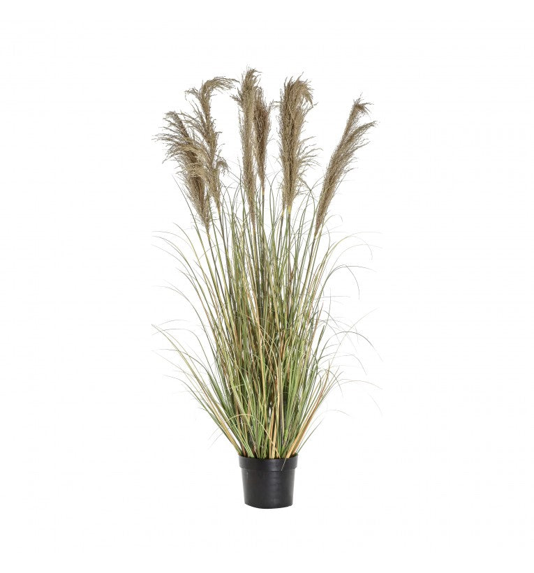 Crowned in Nature Artificial Pampas Grass with 7 Heads