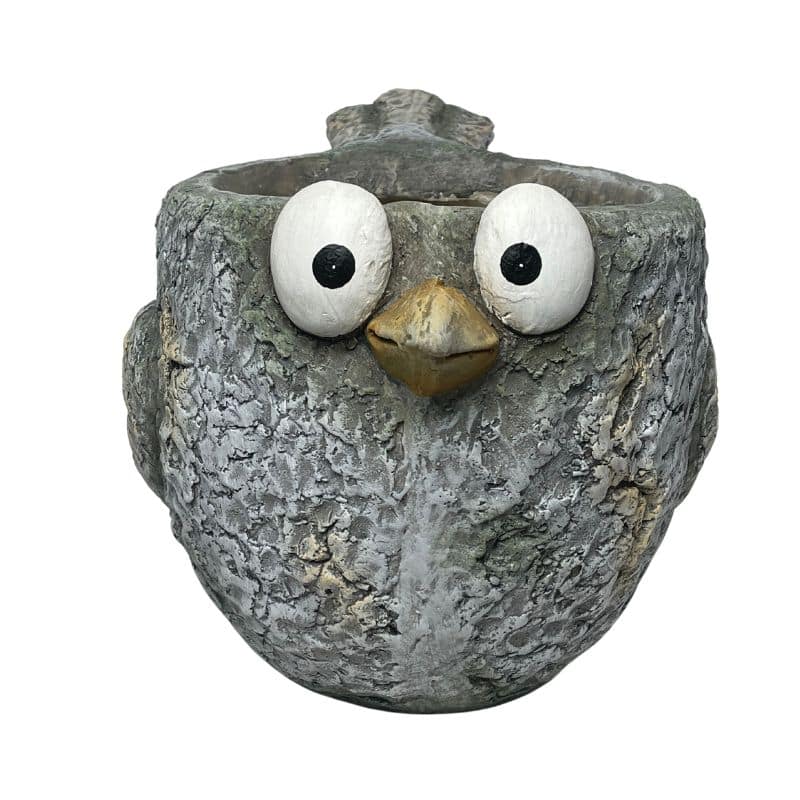 Curious Bird Planter with Hole & Plug