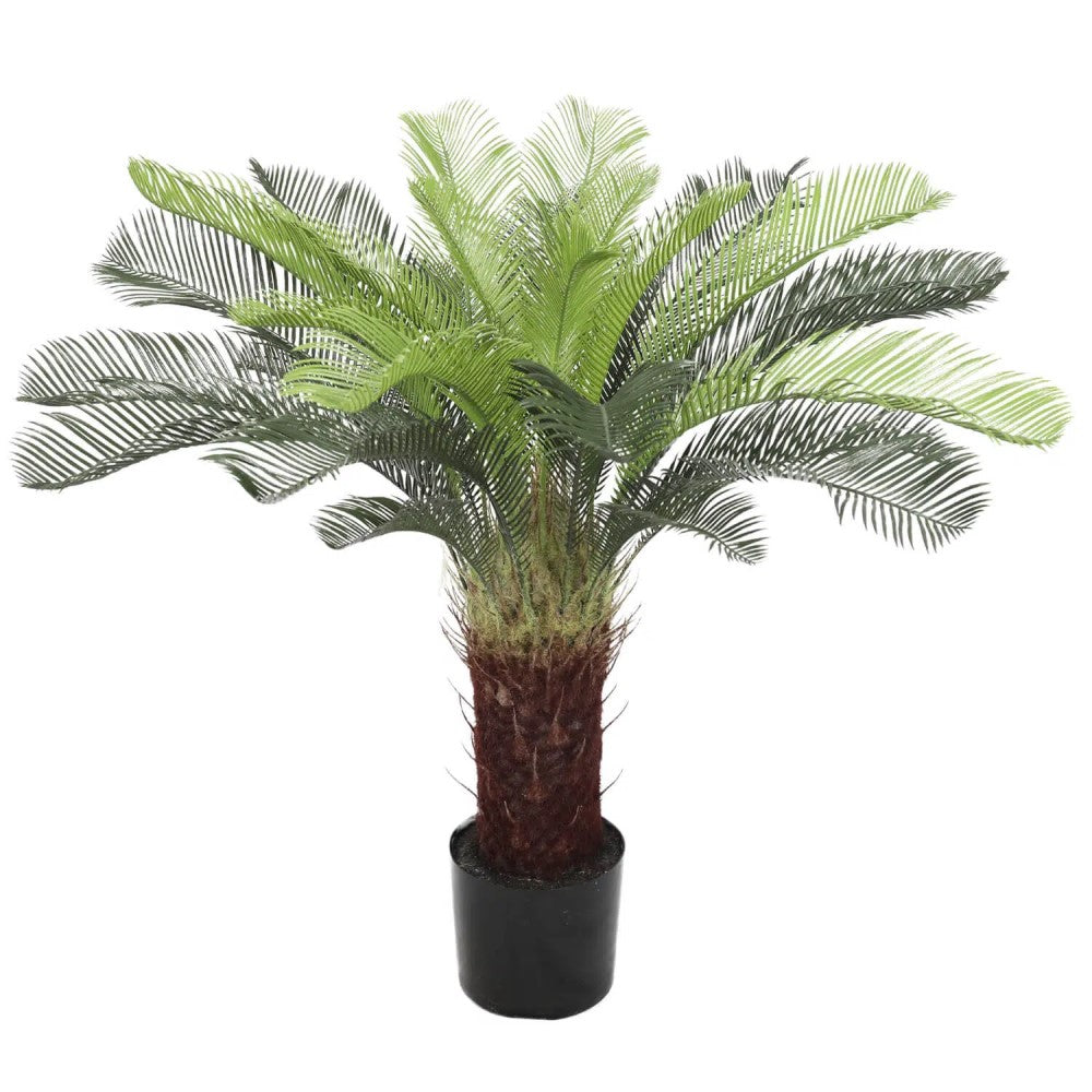 Cycas UV Resistant Palm Tree 105cms
