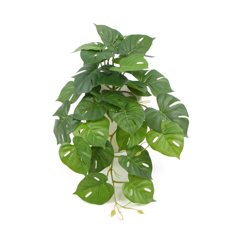 Decorative Artificial Monstera Adansonii Plant 30cms