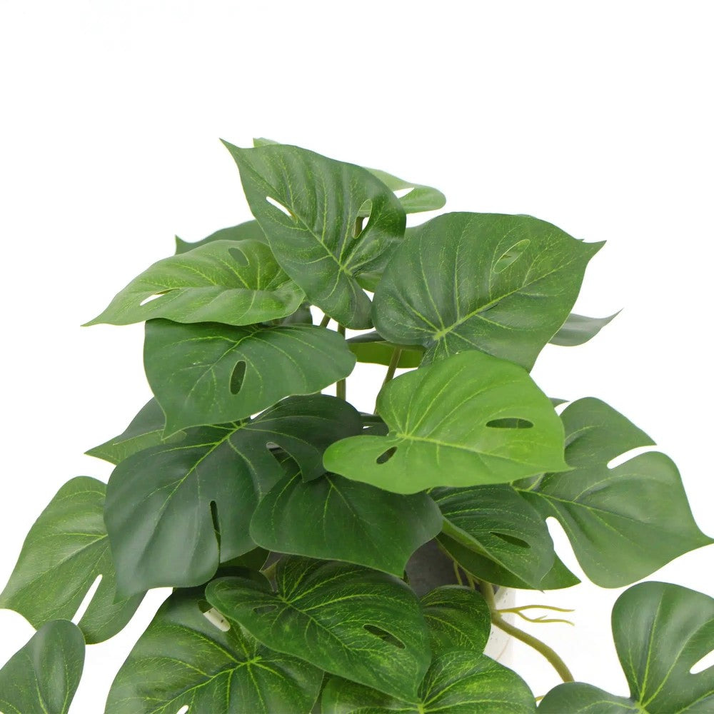 Decorative Artificial Monstera Adansonii Plant 30cms