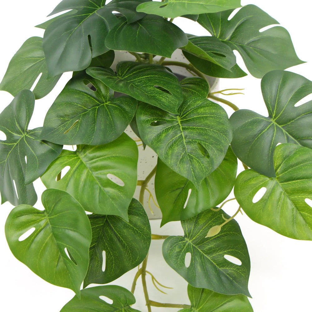 Decorative Artificial Monstera Adansonii Plant 30cms