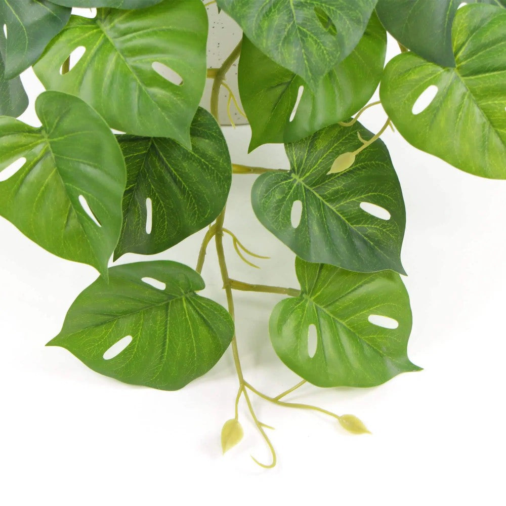 Decorative Artificial Monstera Adansonii Plant 30cms