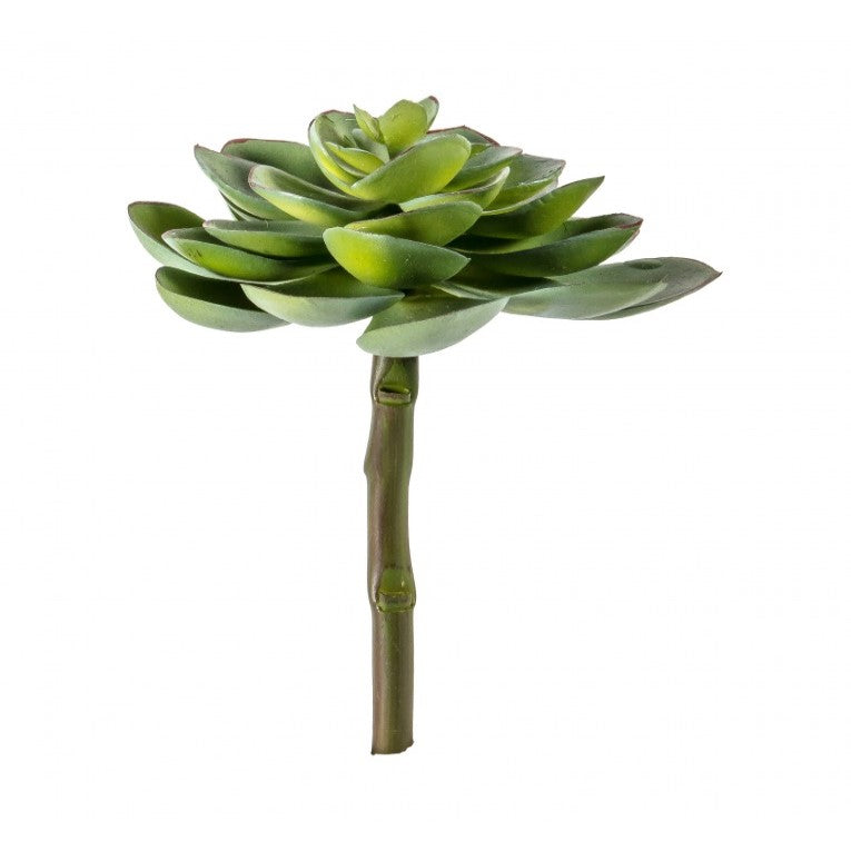 Delight Artificial Echeveria Abalone Grace Stem