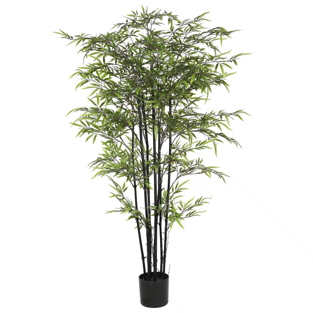 Dense Artificial Black Bamboo 180cms