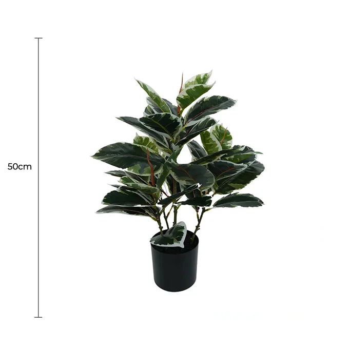 Dense Artificial Bushy Variegated Ficus Tree (Rubber Tree) 50cm