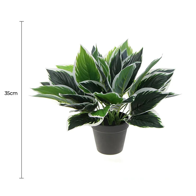 Dense Potted Artificial Calathea Plant 35cm