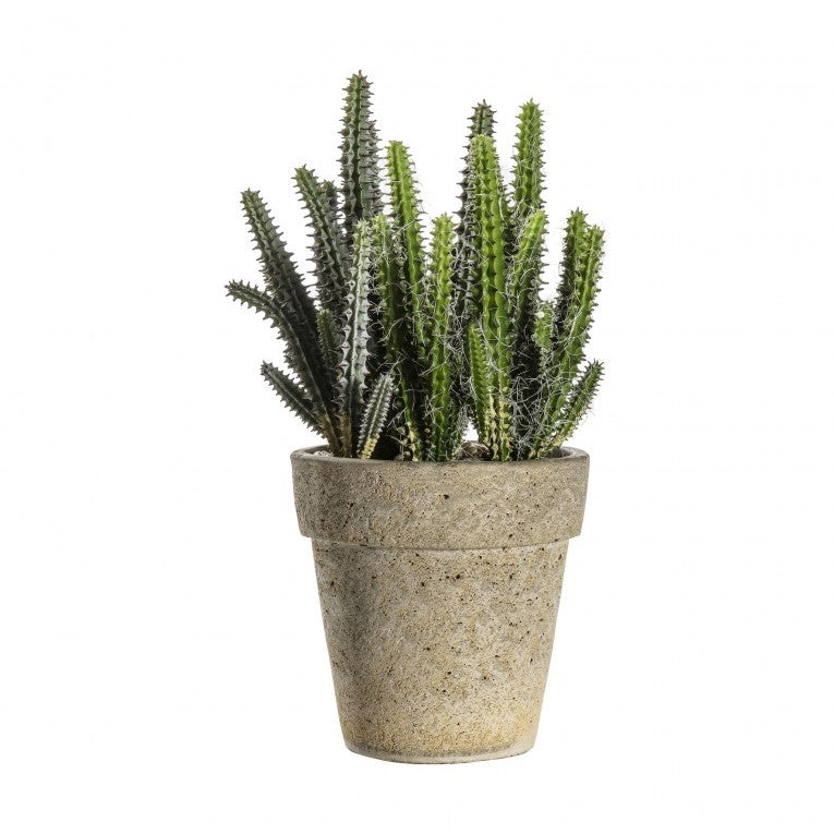 Desert Elegance Artificial Cactus Cereus in Cement Pot