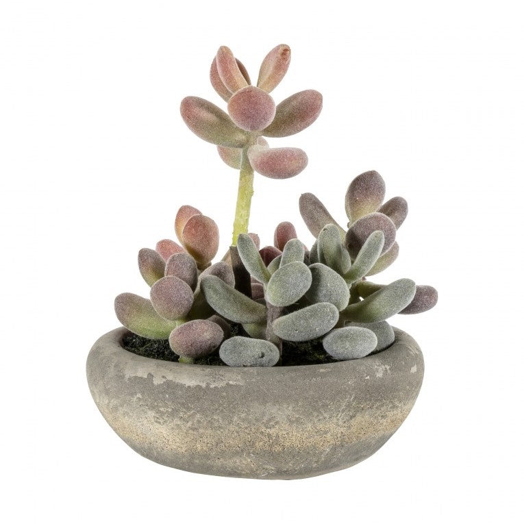 Artificial Desert Harmony Graptoveria with Cement Bowl