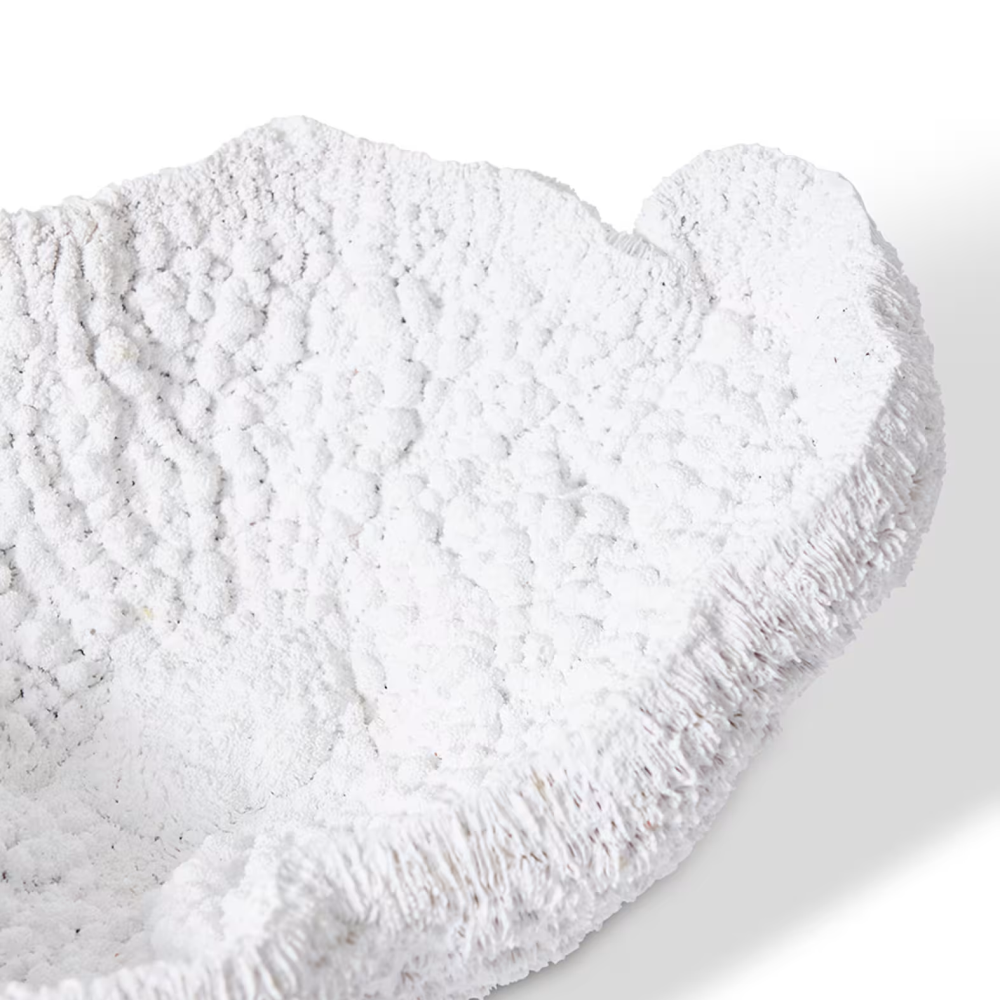 Designer Polyresin Coral Bowl Decor