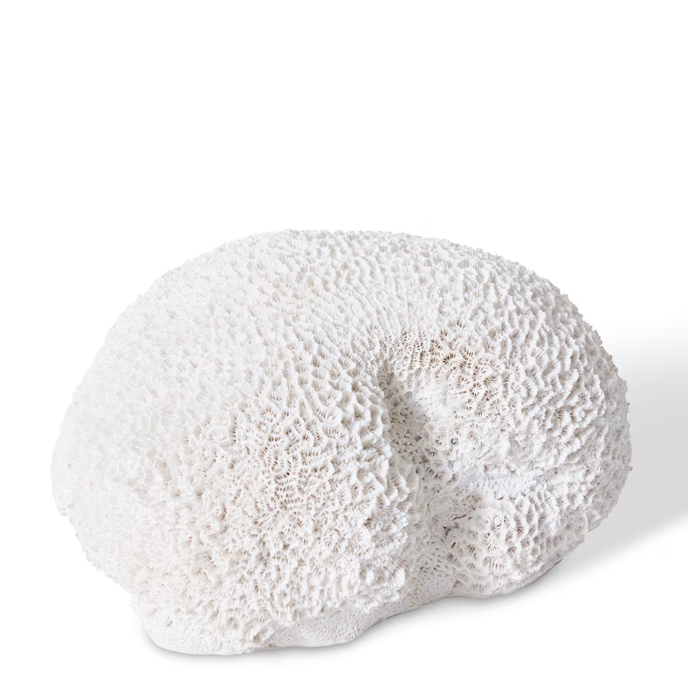 Designer Polyresin Coral Brain Decor - Large