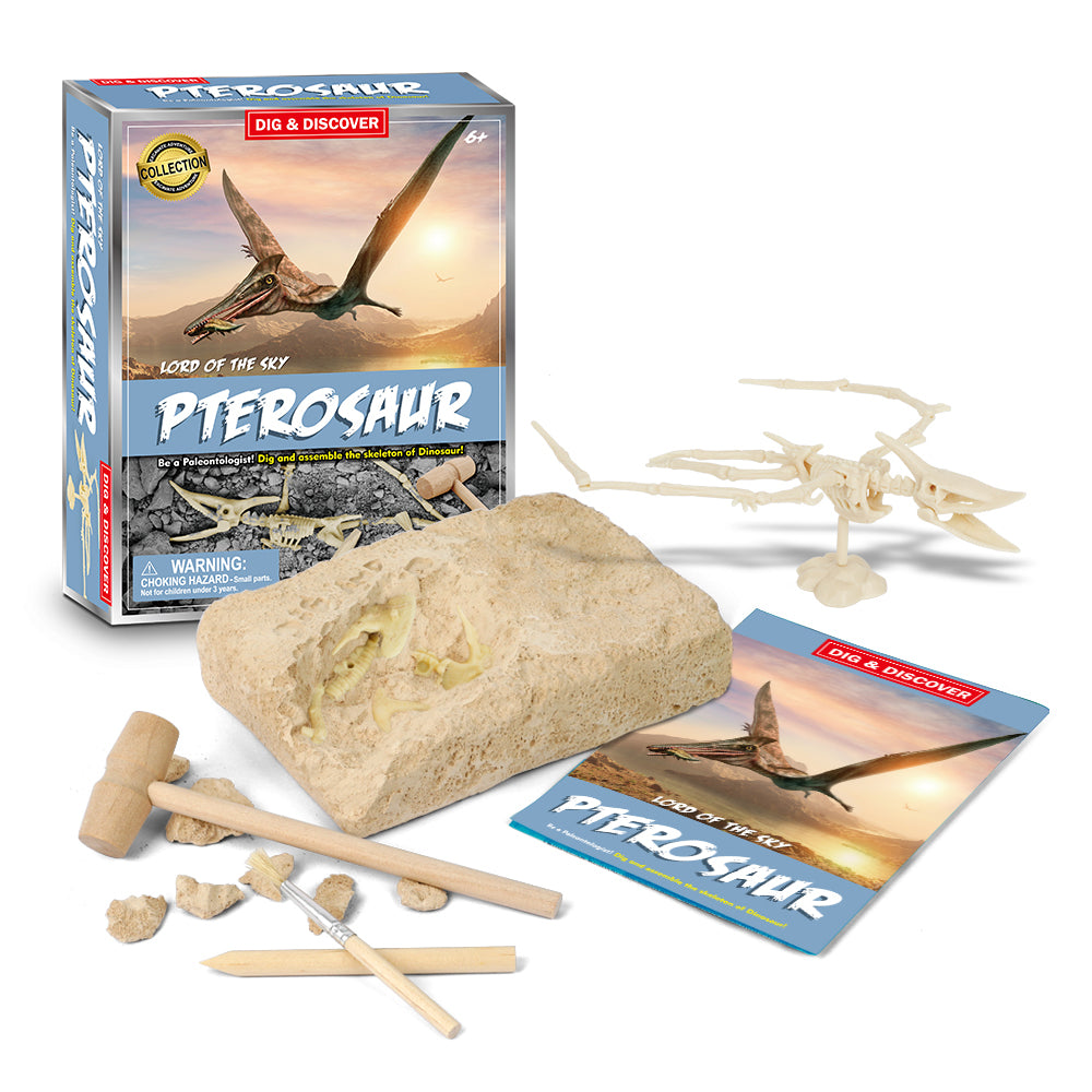 Dig & Discover Pterosaur Dig Kit