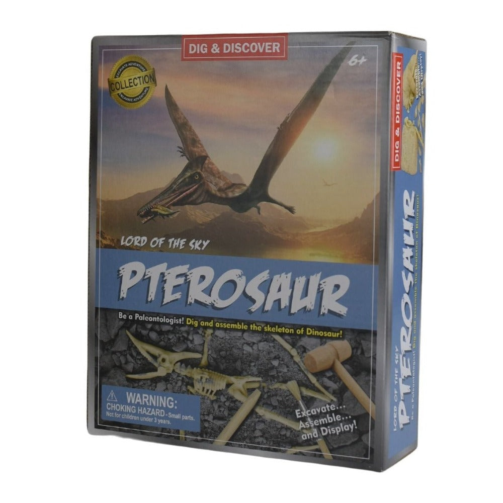 Dig & Discover Pterosaur Dig Kit