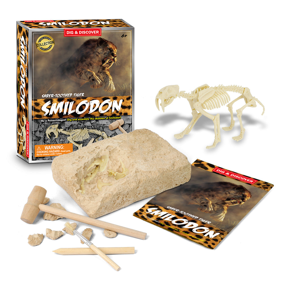 Dig & Discover Saber Tooth Smilodon Dig Kit