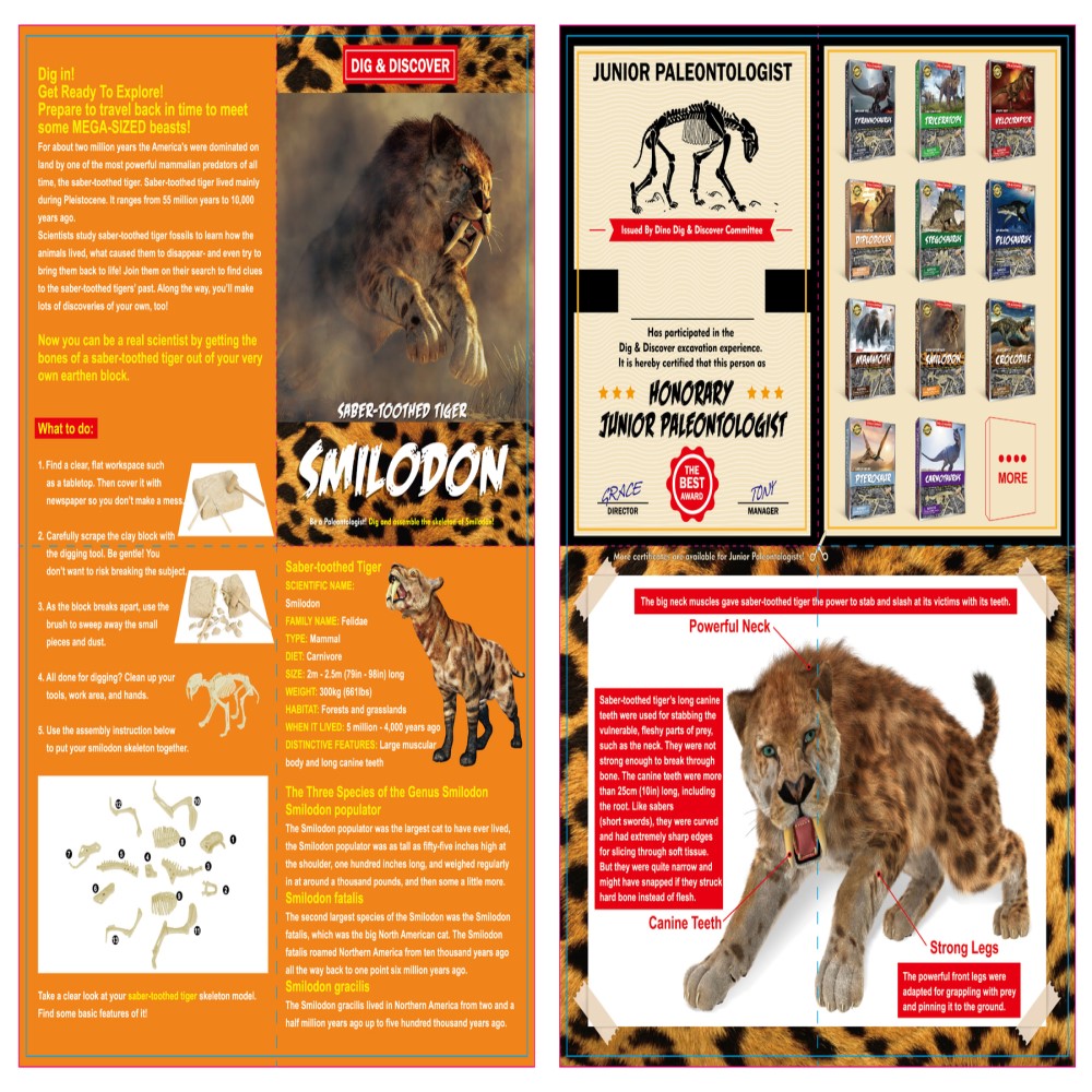 Dig & Discover Saber Tooth Smilodon Dig Kit