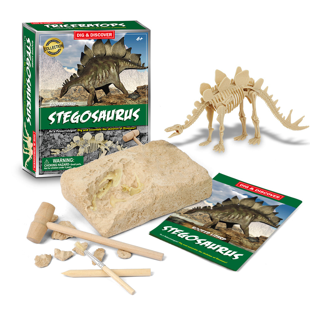 Dig & Discover Stegosaurus Dig Kit