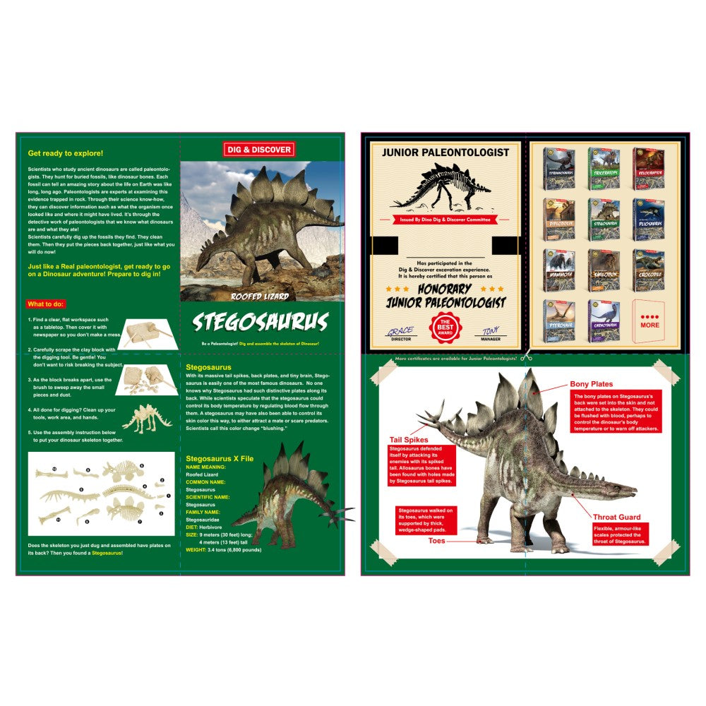 Dig & Discover Stegosaurus Dig Kit