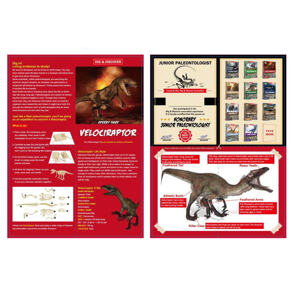 Dig & Discover Velociraptor Dig Kit