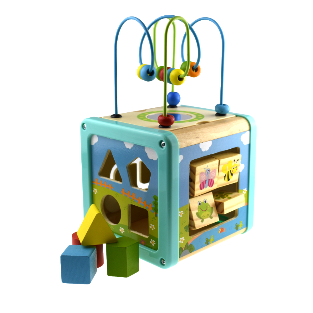 Discover & Play Cube - 5-in-1 Activity Center