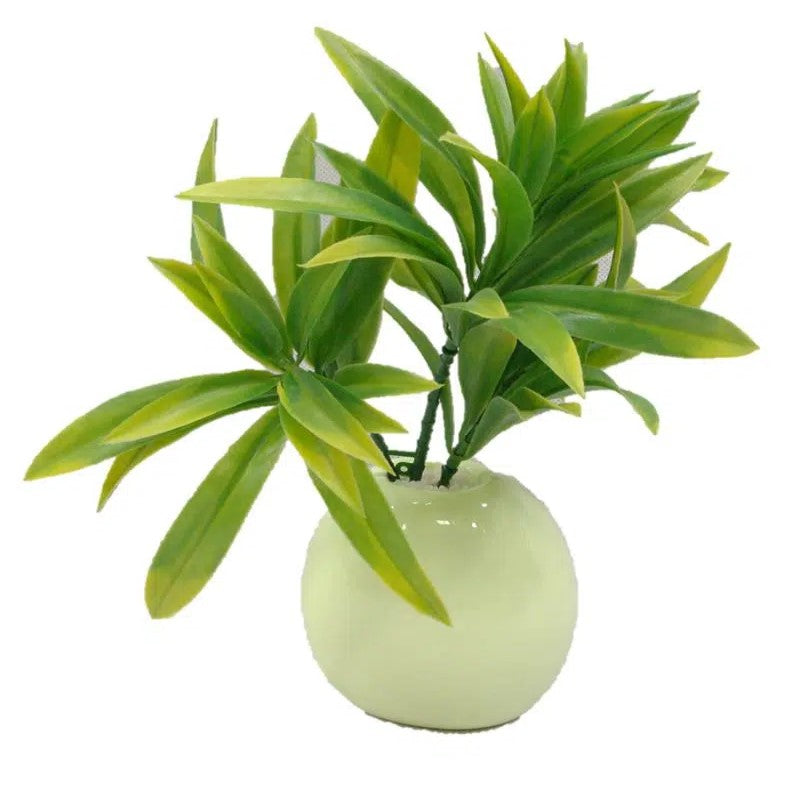 Dracaena UV Resistant Yucca Stem 30cms